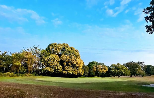 Hallow Ridge Filipinas Golf Green