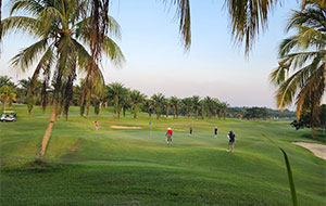  Orchard Golf And Country Club